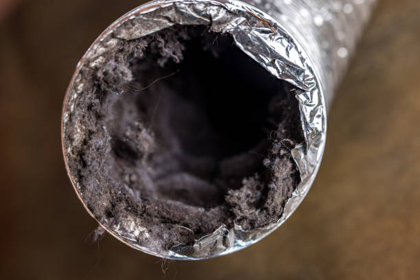 Best Emergency Air Duct Cleaning  in Gibsonville, NC